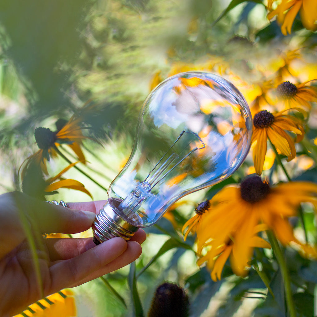 chromalux clear glass incandescent light bulb