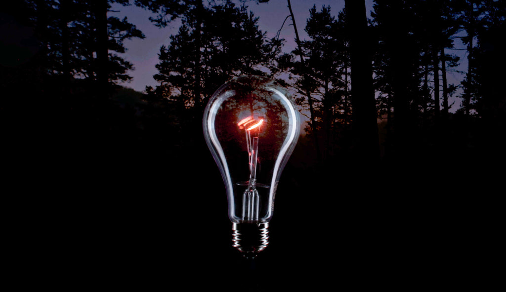 Chromalux full spectrum light bulbs