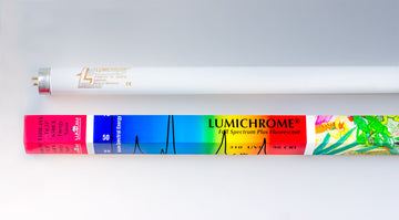 Reptile UVB Fluorescent 